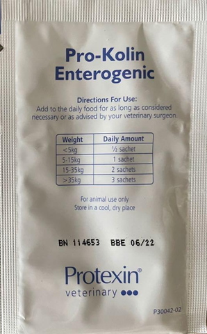 Men vi sinh Pro-Kolin Enterogenic Chó Mèo