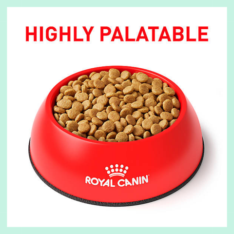 Hạt Urinary S/O Royal Canin cho Mèo hỗ trợ Sỏi thận, Tiết niệu