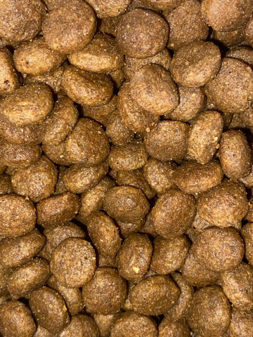 Hạt Adult CAT Ocean Cod, Spelt, Oats & Orange Farmina N&D | Mèo trưởng thành Cá Tuyết, Lúa mì, Yến Mạch & Cam