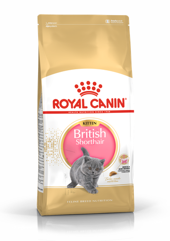 Hạt KITTEN British Shorthair Royal Canin cho Mèo con dưới 12 tháng tuổi giống Anh lông ngắn