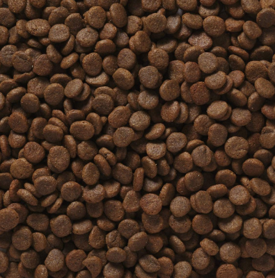 Hạt Pro Pac Ultimates Bayside Select vị Cá cho Chó