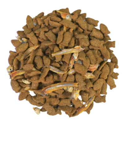 Hạt Snappy Tom Salmon & Chicken Cá Hồi & Thịt Gà