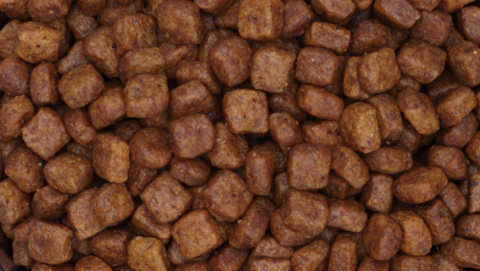 Hạt Poodle Puppy Royal Canin cho Chó con giống Poodle