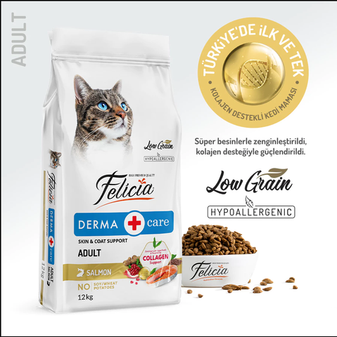 Hạt Felicia Derma Adult Cat Salmon hỗ trợ lông và da cho mèo lớn