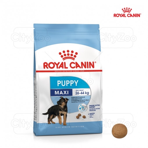Hạt Maxi Puppy Royal Canin cho Chó con Lông dài