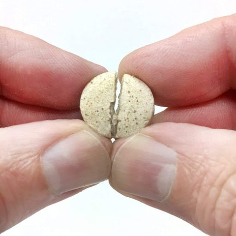 Viên Tiết Niệu Cho Mèo Vet's Best Urinary Tract