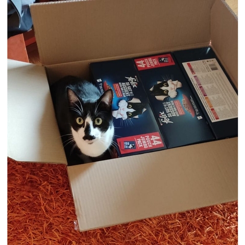 85gr Felix nhập Đức