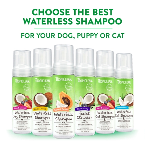 Dog/Cat Waterless Shampoo - Bọt tắm khô Tropiclean cho Chó Mèo