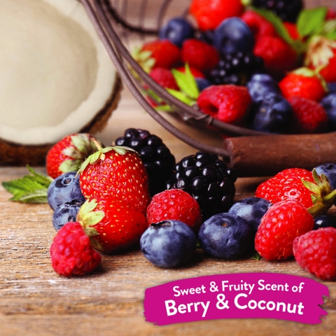 Dog/Cat Waterless Shampoo - Bọt tắm khô Tropiclean cho Chó Mèo