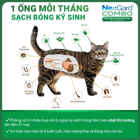 Nhỏ gáy NexGard COMBO cho Mèo