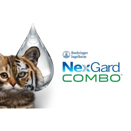 Nhỏ gáy NexGard COMBO cho Mèo