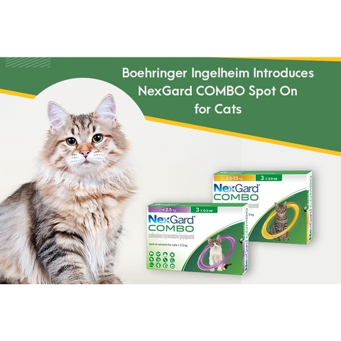 Nhỏ gáy NexGard COMBO cho Mèo