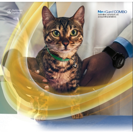 Nhỏ gáy NexGard COMBO cho Mèo
