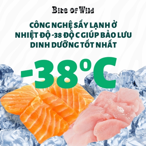 Thịt sấy Bite of Wild cho Mèo