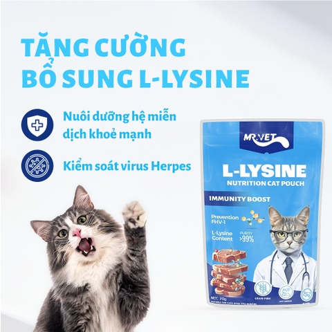 Pate chức năng Mr.Vet cho Mèo