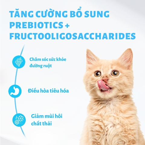 Pate chức năng Mr.Vet cho Mèo