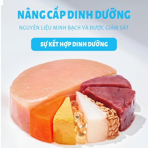 Hạt Mr.Vet cho Mèo T1 & T2 & T3 & T4 & G1