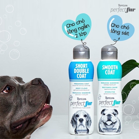 Sữa tắm Tropiclean Perfect Fur cho Chó