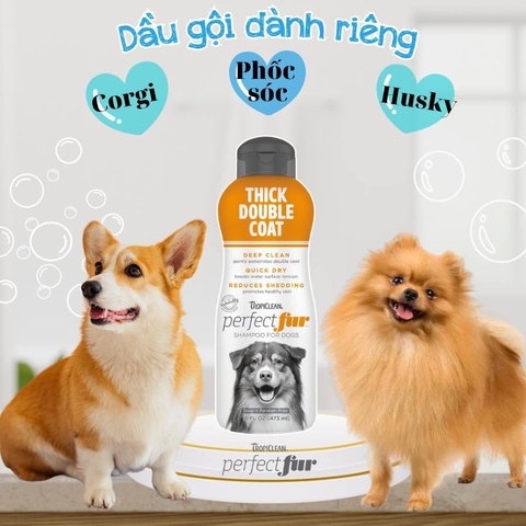 Sữa tắm Tropiclean Perfect Fur cho Chó