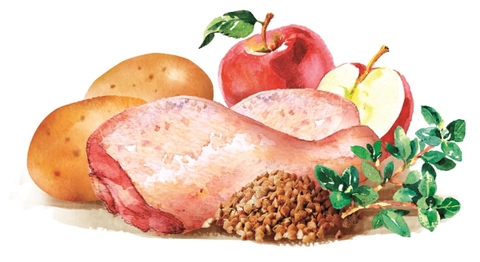 Hạt BRIT Fresh CHICKEN with Potato ADULT Great Life cho Chó trưởng thành