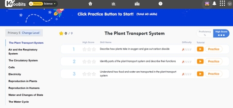 Koobits - gói 1 năm