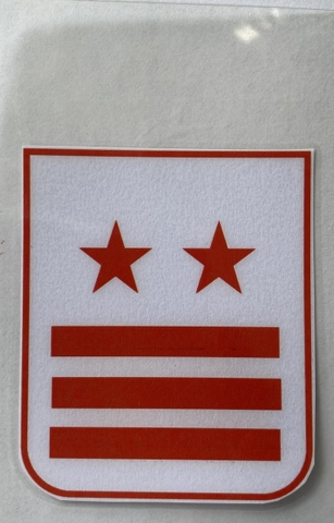 Cấp hiệu Đội (ép nhựa + kim băng)