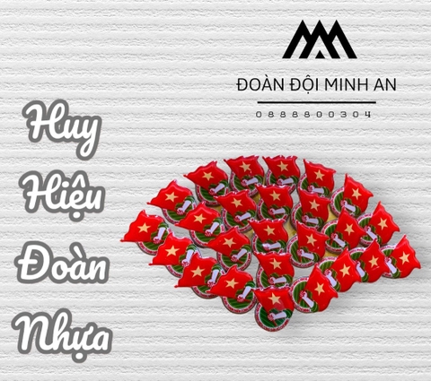 HUY HIỆU ĐOÀN - NAM CHÂM