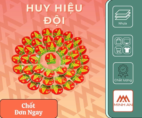 Huy hiệu Đội TNTP Hồ Chí Minh