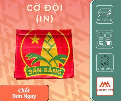 Cờ Đội In