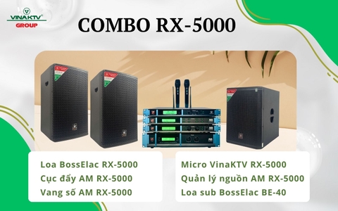 Combo Bộ âm thanh karaoke Vina KTV RX5000