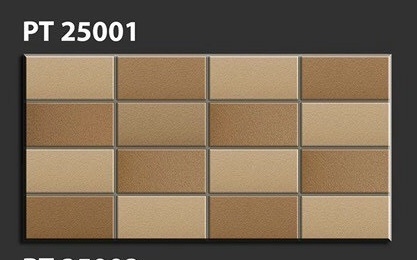 Gạch thẻ 25X50 (1T= 8V=1M)