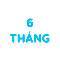 Gói 6 tháng