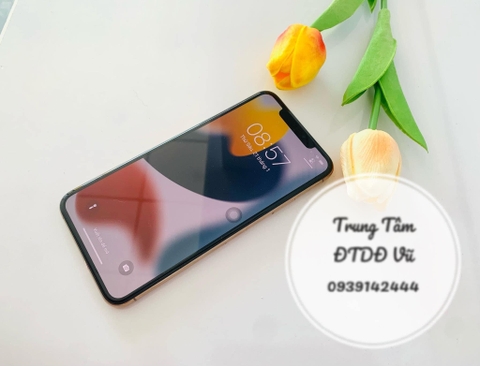 Điện thoại iPhone 11 Pro Max 64GB ( Vàng Gold )