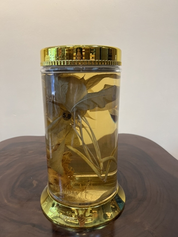 Rượu Sâm Ngọc Linh 5.8