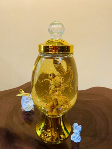 Rượu Sâm Ngọc Linh 3.95