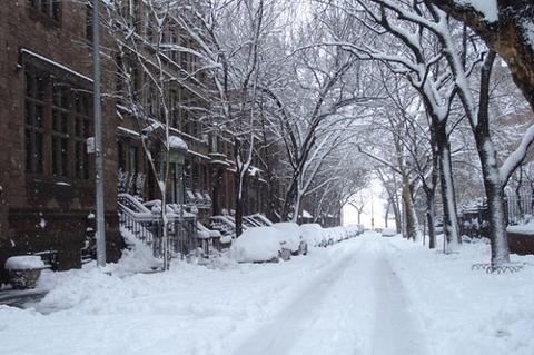 Du lịch nước Mỹ vào Tháng 2 có gì tuyệt vời?