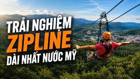 Chinh Phục WildSide Zipline: Thử Thách Tốc Độ Giữa Dãy Núi Smoky