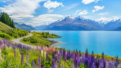 Khám Phá Nội Địa New Zealand: Hành Trình Đầy Kỳ Diệu