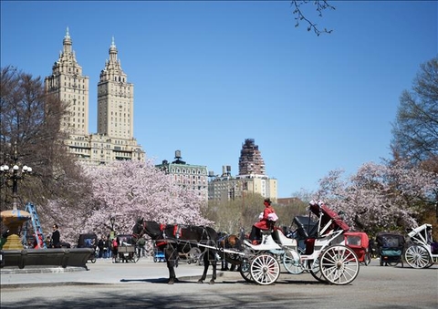 Du Lịch Mỹ Mùa Xuân Có Gì Vui ?