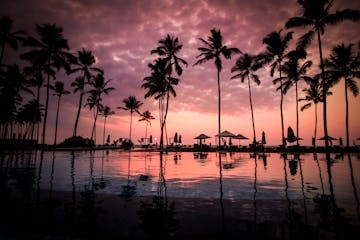 Hawaii – Thiên Đường Nhiệt Đới Của Nước Mỹ