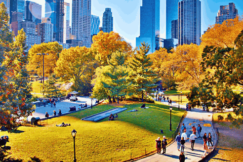 Công viên Trung tâm New York: Khám Phá Thiên Đường Xanh Giữa Lòng Thành Phố