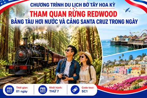 SC1 - THAM QUAN RỪNG REDWOOD BẰNG TÀU HƠI NƯỚC VÀ CẢNG SANTA CRUZ TRONG NGÀY