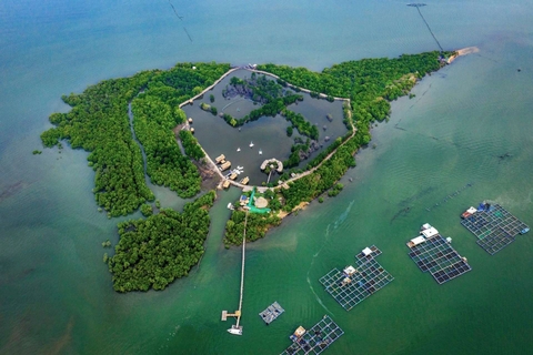 DU LỊCH VŨNG TÀU: MARINA BAY - ĐẢO GÒ GĂNG TRẢI NGHIỆM GIÀN KHOAN - TRẢI NGHIỆM CỤM CẢNG - 1 NGÀY