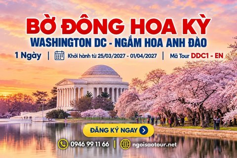 DDC1 - EN: KHÁM PHÁ WASHINGTON NGẮM HOA ANH ĐÀO
