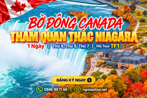 TF1 - TORONTO - NIAGARA FALLS 1 NGÀY