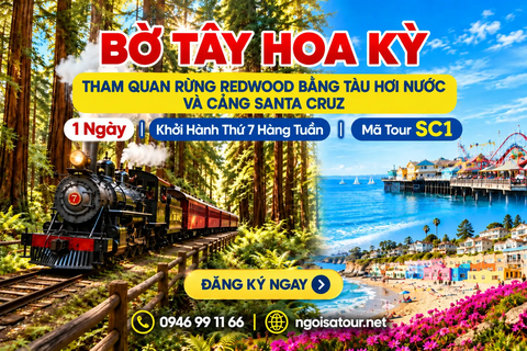 SC1 - THAM QUAN RỪNG REDWOOD BẰNG TÀU HƠI NƯỚC VÀ CẢNG SANTA CRUZ TRONG NGÀY