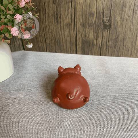 Pet tử sa lợn bay