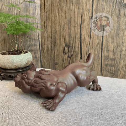 Tỳ hưu săn mồi