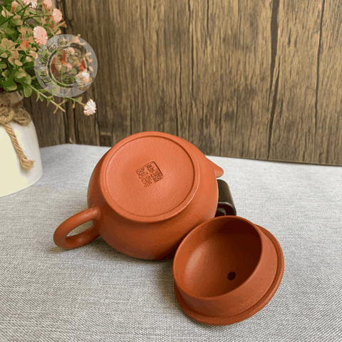 Ấm Thủy Bình Lùn