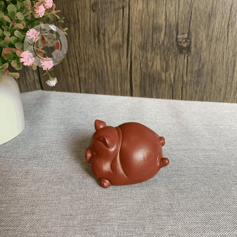 Pet tử sa lợn bay